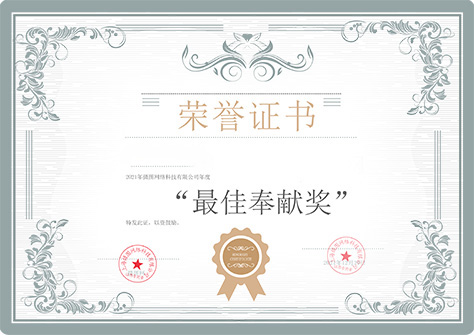 Достижения